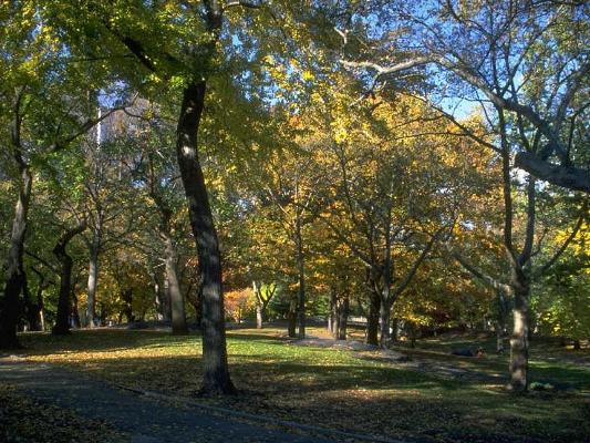 Hacia una industria forestal más sostenible para Chile Hacia una industria forestal más sostenible para Chile