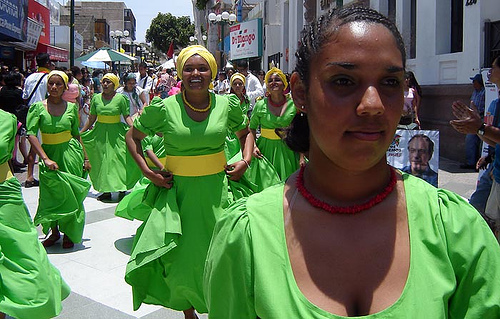 Escaños reservados para los afrodescendientes Escaños reservados para los afrodescendientes