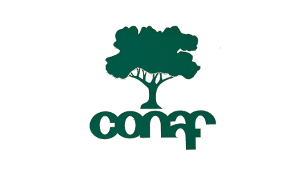 Sindicato de profesionales de CONAF exige renuncia a Director Ejecutivo