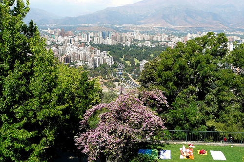 Los parques urbanos en tiempos de pandemia: ¿Qué viene más adelante? Los parques urbanos en tiempos de pandemia: ¿Qué viene más adelante?