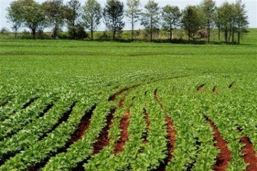Cambio climático y automatización: el desafío que define el futuro de la agricultura