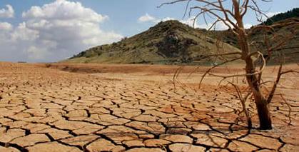 La crisis climática llega a nuestra mesa La crisis climática llega a nuestra mesa