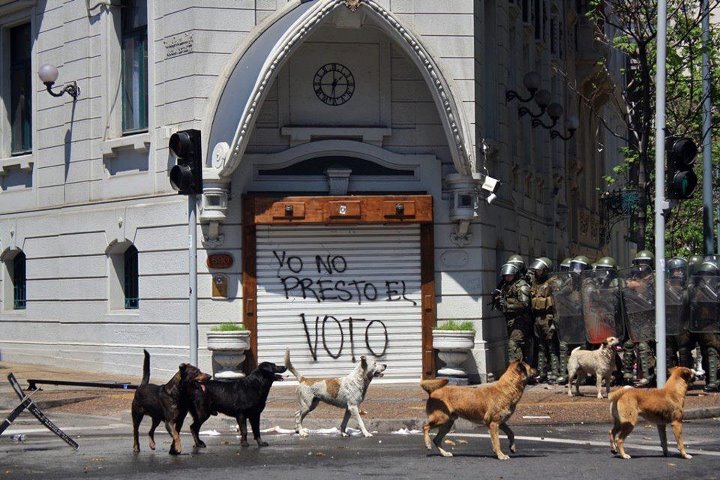 Yo no voto… ¡y qué! Yo no voto… ¡y qué!