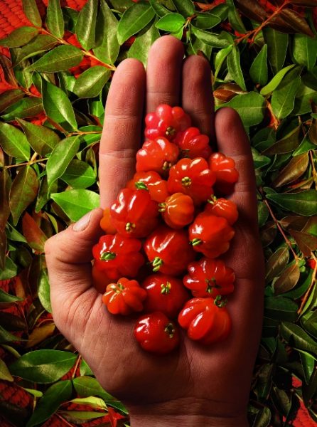 Natura elegida por segundo año consecutivo la empresa más sustentable en Chile Natura elegida por segundo año consecutivo la empresa más sustentable en Chile