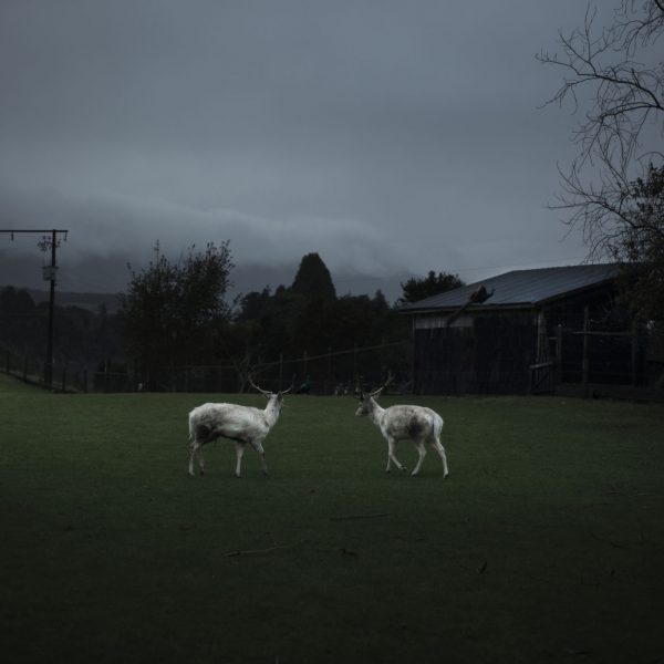 «Inmemorial», la poética muestra fotográfica que retrata el misterio del territorio rural en tiempos modernos