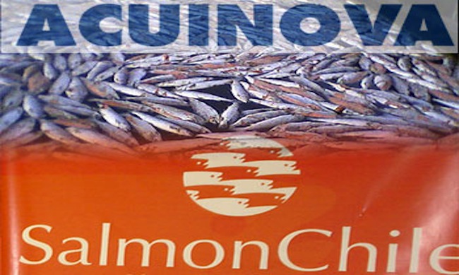 Matriz española de Acuinova al borde de la quiebra y busca vender la salmonera en Chile