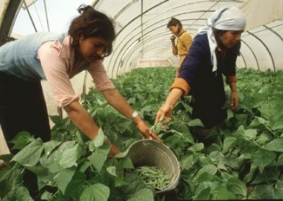 El “trabajo sucio” de las mujeres El “trabajo sucio” de las mujeres