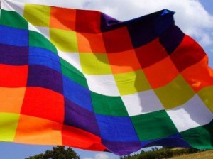 La participación de las naciones originarias y la Convención Constitucional La participación de las naciones originarias y la Convención Constitucional
