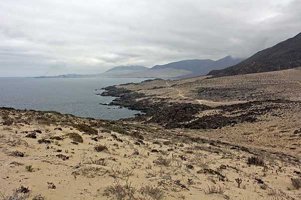 Endesa Chile ingresó al SEA la línea de transmisión eléctrica de central Punta Alcalde Endesa Chile ingresó al SEA la línea de transmisión eléctrica de central Punta Alcalde