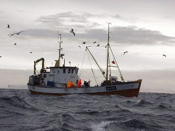 Empresa multada por malas prácticas recibe asignación de cuotas por parte de la subsecretaria de Pesca Empresa multada por malas prácticas recibe asignación de cuotas por parte de la subsecretaria de Pesca