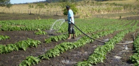Piñera decretará emergencia agrícola en algunas comunas de la RM Piñera decretará emergencia agrícola en algunas comunas de la RM