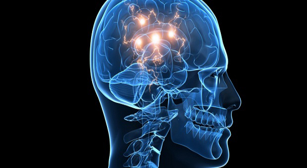El cerebro y la enigmática sinfonía de los sentidos El cerebro y la enigmática sinfonía de los sentidos