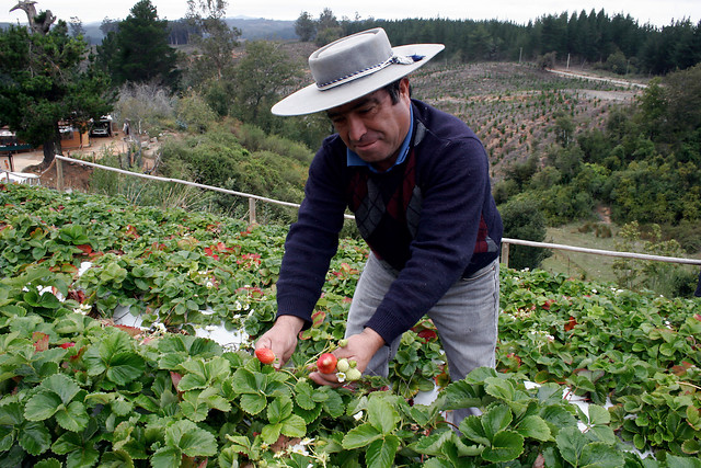 PS realiza autocrítica en materia agraria y entrega propuesta a Bachelet PS realiza autocrítica en materia agraria y entrega propuesta a Bachelet