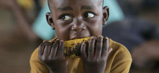 Uno de cada ocho personas padece hambre crónica en el mundo Uno de cada ocho personas padece hambre crónica en el mundo