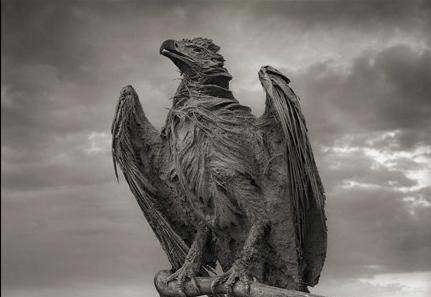 En fotos: Los misteriosos animales petrificados del lago Natrón En fotos: Los misteriosos animales petrificados del lago Natrón
