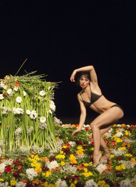 Lo mejor de la danza en el Gam: Preparatio Mortis Lo mejor de la danza en el Gam: Preparatio Mortis