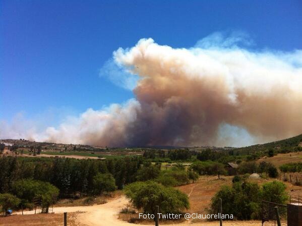 Incendio forestal en Melipilla arrasa con un millar de hectáreas y obliga evacuación de 25 viviendas y una escuela
