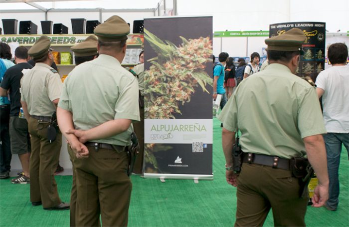 Expoweed: la feria de la cannabis que apela al cambio cultural en Chile