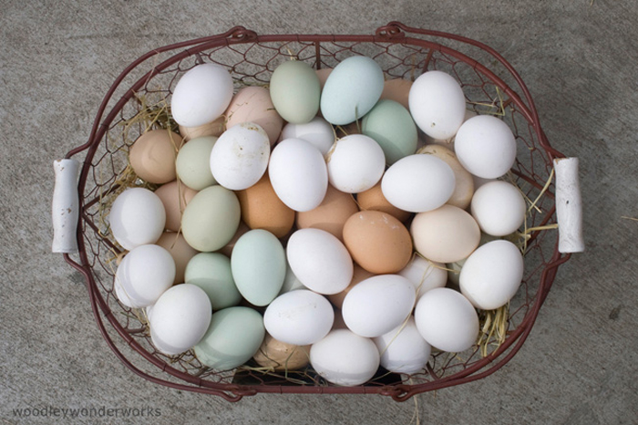 El huevo, la joya nutricional que contribuye a reducir el hígado graso