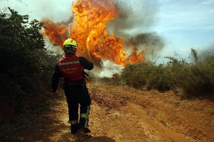 Alerta Roja por incendios forestales se mantiene en Maule y Bío Bío