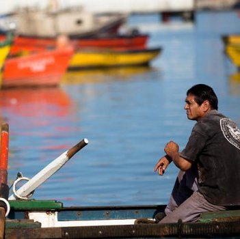 Casi la mitad de las pesquerías en Chile se encuentran sobreexplotadas o agotadas Casi la mitad de las pesquerías en Chile se encuentran sobreexplotadas o agotadas