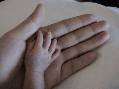 Sename entrega a la Fiscalía nuevos casos de supuestas adopciones irregulares Sename entrega a la Fiscalía nuevos casos de supuestas adopciones irregulares