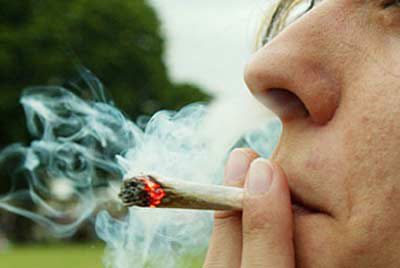 Parlamentarios oficialistas piden al gobierno despenalizar autocultivo de la marihuana