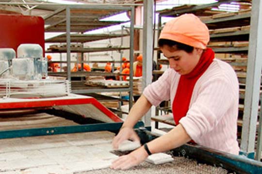 Informe del Banco Central reafirma los graves retrocesos que ha sufrido el empleo femenino producto de la crisis sanitaria Informe del Banco Central reafirma los graves retrocesos que ha sufrido el empleo femenino producto de la crisis sanitaria