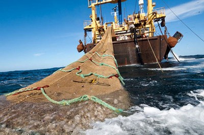 Pescadores artesanales denuncian que subsecretario Súnico sólo “postergará” resolución que permite pesca de arrastre Pescadores artesanales denuncian que subsecretario Súnico sólo