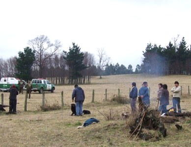 Mapuches ocupan predio de Forestal Mininco en La Araucanía Mapuches ocupan predio de Forestal Mininco en La Araucanía