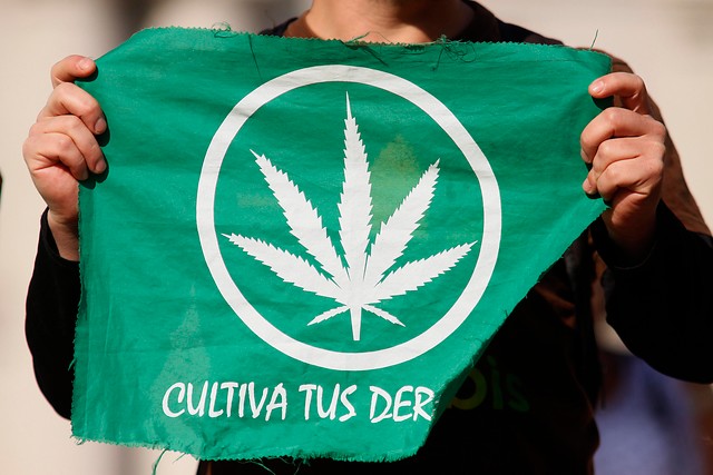 Respaldo transversal de diputados a llamado de Milton Flores a despenalizar autocultivo de cannabis Respaldo transversal de diputados a llamado de Milton Flores a despenalizar autocultivo de cannabis