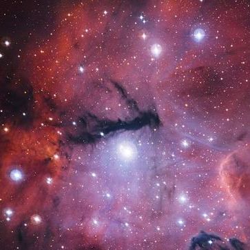 Imagen de un “nido estelar” casi desconocido es captado desde Chile Imagen de un