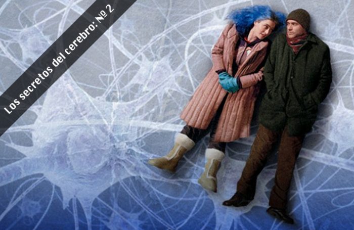 Como en las películas: Neurocientíficos logran alterar los recuerdos mientras se está dormido Como en las películas: Neurocientíficos logran alterar los recuerdos mientras se está dormido