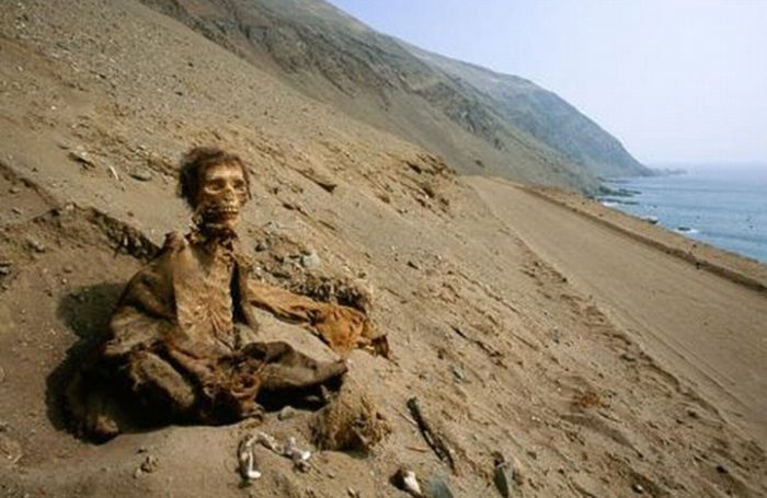 Contaminación por arsénico habría sido clave en momificación de cultura Chinchorro Contaminación por arsénico habría sido clave en momificación de cultura Chinchorro