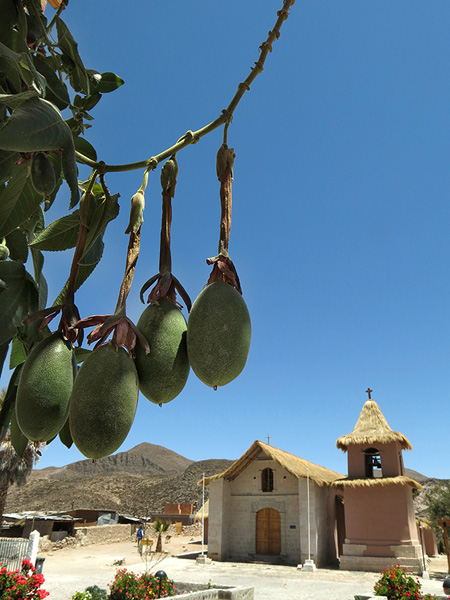 Reportaje fotográfico culinario: Ese norte que no conoces Reportaje fotográfico culinario: Ese norte que no conoces