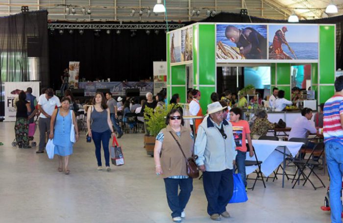 FEGAM Valdivia: la fragilidad de lo sustentable FEGAM Valdivia: la fragilidad de lo sustentable