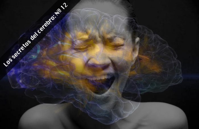 Neurocientíficos descubren que la depresión podría curarse llevando las causas que la generan hasta el límite Neurocientíficos descubren que la depresión podría curarse llevando las causas que la generan hasta el límite