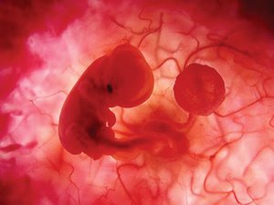 La realidad del aborto en Chile: historias de tribunales La realidad del aborto en Chile: historias de tribunales