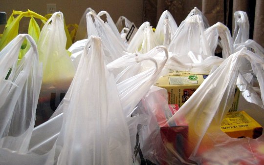 Entra en vigencia ordenanza municipal que prohíbe entregar bolsas plásticas en Las Condes Entra en vigencia ordenanza municipal que prohíbe entregar bolsas plásticas en Las Condes