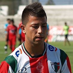 Palestino: Guede golpeó la mesa Palestino: Guede golpeó la mesa