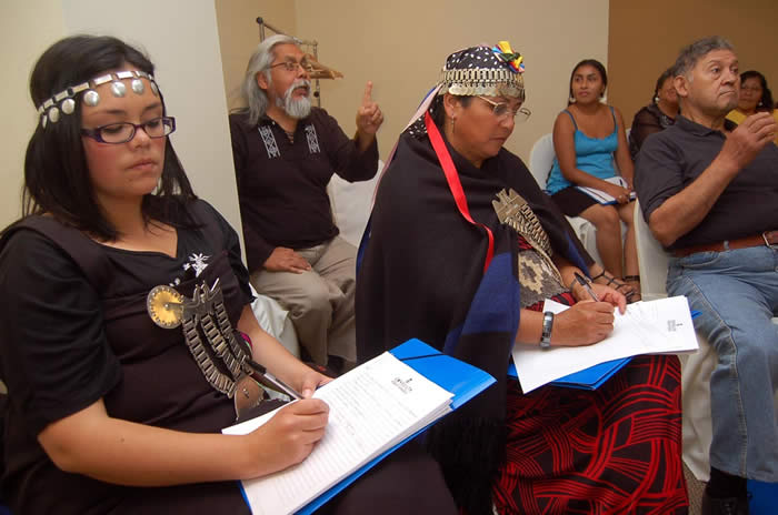 La consulta indígena y la privatización de las tierras Mapuche