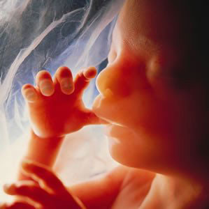 El debate sobre el aborto y la decadencia intelectual del catolicismo El debate sobre el aborto y la decadencia intelectual del catolicismo