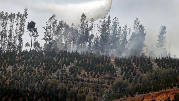 Declaran a Panguipulli en alerta roja por incendio forestal que amenaza hidroeléctrica y sectores poblados