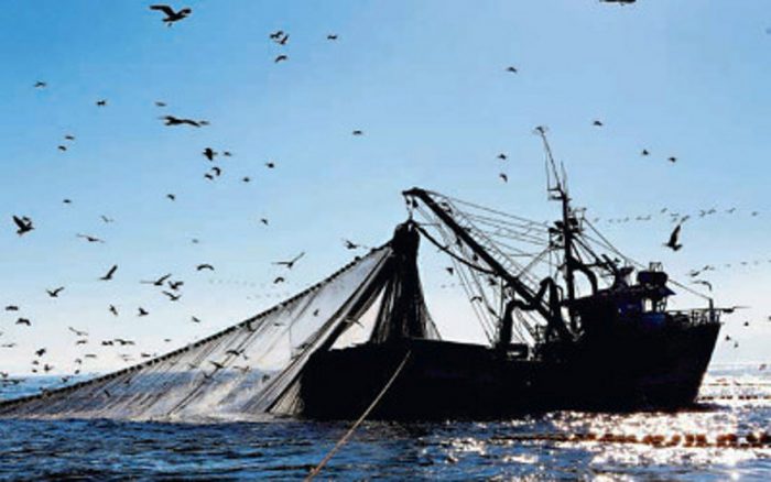 Los otros conflictos de interés y acusaciones en la cuestionada Ley de Pesca de Longueira Los otros conflictos de interés y acusaciones en la cuestionada Ley de Pesca de Longueira
