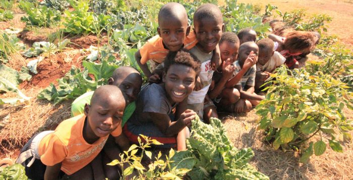 Fundación África Dream busca voluntarios agrónomos para trabajar en Zambia