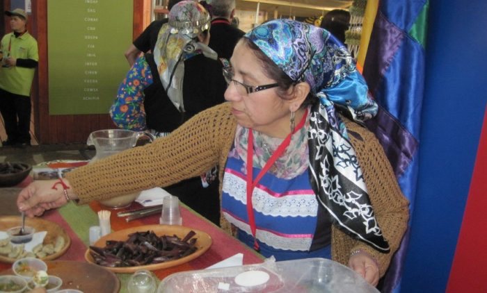 Productores mapuches apoyados por Corfo estarán en la Expo We Tripantu Productores mapuches apoyados por Corfo estarán en la Expo We Tripantu