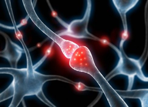 Casi cuatro millones de chilenos padecen síndrome metabólico y son potenciales víctimas del Alzheimer Casi cuatro millones de chilenos padecen síndrome metabólico y son potenciales víctimas del Alzheimer