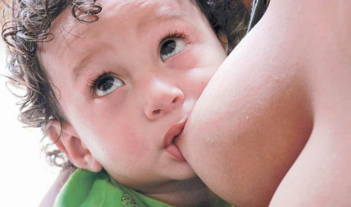 Estudio en neurociencias arroja que el temperamento es transmisible por la leche materna Estudio en neurociencias arroja que el temperamento es transmisible por la leche materna