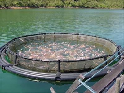 Habitantes de Puerto Natales rechazan instalación de mega planta salmonera en la Patagonia chilena Habitantes de Puerto Natales rechazan instalación de mega planta salmonera en la Patagonia chilena