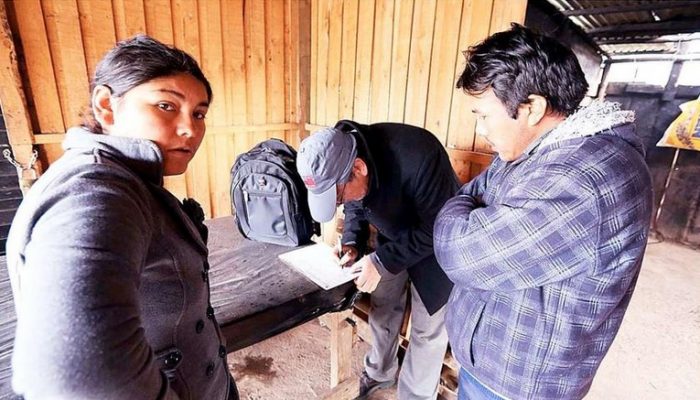 Encuentran a trabajadores bolivianos en condiciones laborales “casi infrahumanas” en fundo de San Antonio Encuentran a trabajadores bolivianos en condiciones laborales